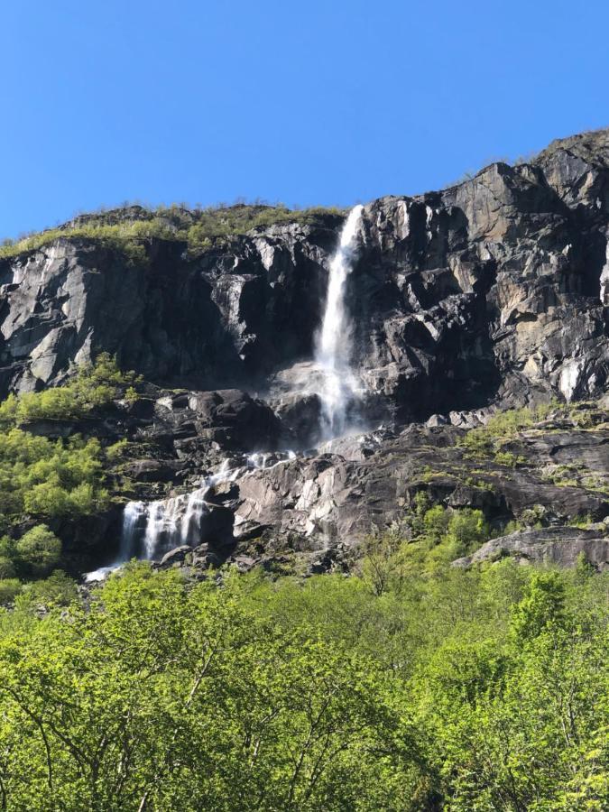 Melkevoll Bretun Briksdalsbre